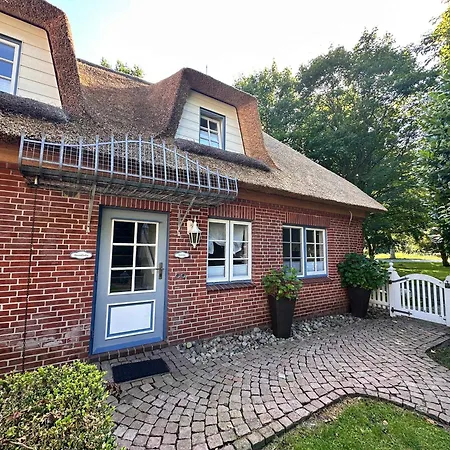 Sky & Homes Strandlaeufer I Stilvolle Unter Reet In Spo Mit Parkgarten