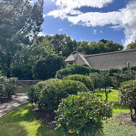 Apartament Sky & Homes Strandlaeufer I Stilvolle Unter Reet In Spo Mit Parkgarten *